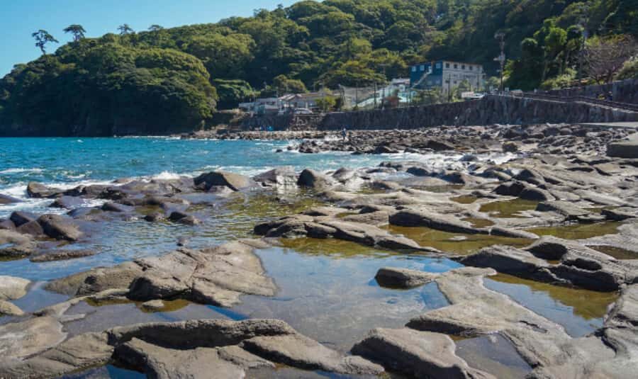 Tokyo: Gotemba Outlet Shopping Day Trip with Beer - Practical Details and What to Expect