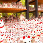 Tokyo: Gotokuji Lucky Cat Temple & Harajuku Shibuya Cat Café - What To Expect from the Tour