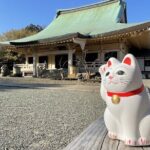 Tokyo: Gotokuji Temple and Shimokitazawa Day Tour - Exploring Shimokitazawa: Tokyo’s Bohemian Neighborhood