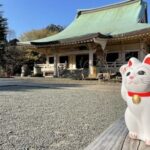 Tokyo: Gotokuji Temple and Shimokitazawa Day Tour - Exploring Gotokuji Temple: Japan’s Lucky Cat Sanctuary