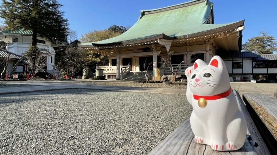 Tokyo: Gotokuji Temple and Shimokitazawa Day Tour - Exploring Gotokuji Temple: Japan’s Lucky Cat Sanctuary