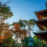 Tokyo: Gotokuji Temple and Shimokitazawa Day Tour - The Itinerary Breakdown