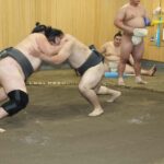 Tokyo: Grand Sumo Morning Training Tour - Practical Details: What You Need to Know