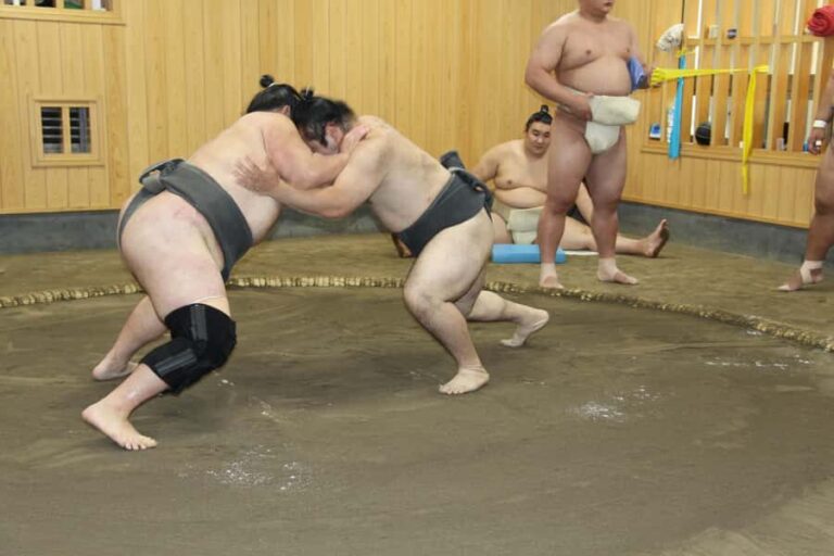 Tokyo: Grand Sumo Morning Training Tour - Practical Details: What You Need to Know