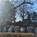 Tokyo: Great Buddha, Museums, Botanical Garden and More - The Sum Up