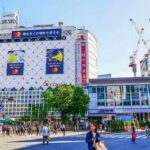 Tokyo: Guided Exploration with a Private Driver - Itinerary Breakdown: What to Expect from Your Day in Tokyo