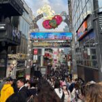 Tokyo Guided Tour: Omotesando, Takeshita dori, Meiji Jingu, and Shibuya - What Makes This Tour Stand Out?