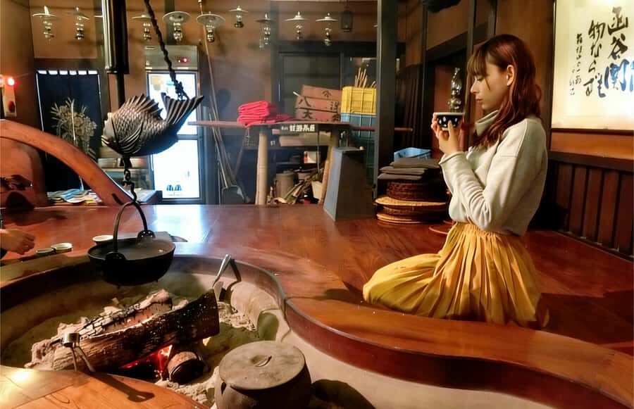 Tokyo: Hakone Day Tour With Teahouse Hearth, Cruise, Volcano - Exploring the Charm of Hakone in a Day