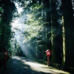 Tokyo: Hakone Full-Day Private Guided Tour with Pickup - The Value of This Tour