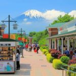 Tokyo: Hakone Private Tour with Spa and Ropeway Ride - Art and Culture at Hakone Open-Air Museum