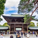 Tokyo: Half-Day Afternoon Small Group Tour - Who Should Consider This Tour?