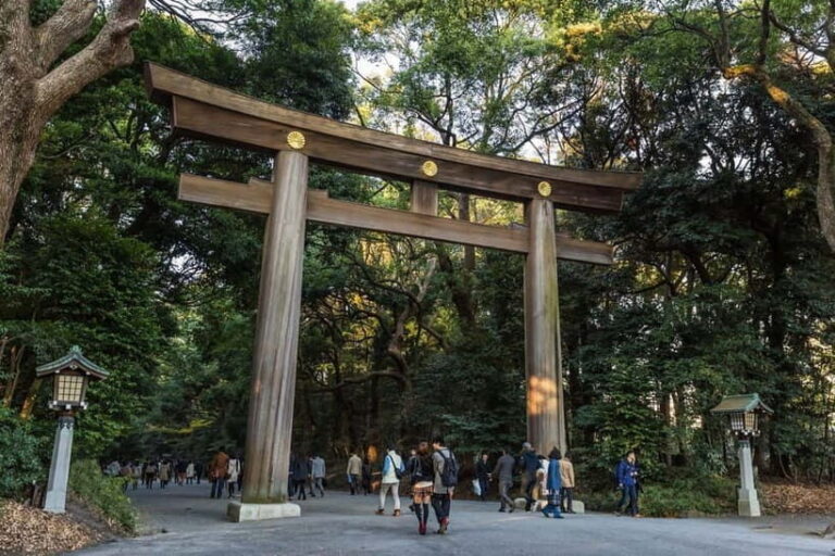 Tokyo: Half-Day Afternoon Small Group Tour - Good To Know