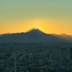 Tokyo: Harajuku, Meiji Shrine, Yoyogi Park & Roppongi Sunset - Transportation & Group Dynamics