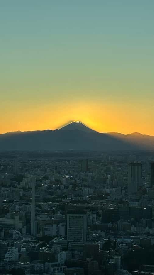 Tokyo: Harajuku, Meiji Shrine, Yoyogi Park & Roppongi Sunset - Transportation & Group Dynamics