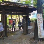 Tokyo: Heirinji Temple Monks Path & Forest Meditation Walk - Exploring Heirinji Temple: A Historic and Spiritual Site