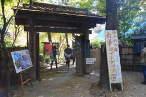Tokyo: Heirinji Temple Monks Path & Forest Meditation Walk - Exploring Heirinji Temple: A Historic and Spiritual Site