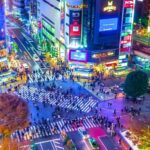 Tokyo Hidden Gems Sumo & Local Streets Day Tour - Practical Details and Why They Matter