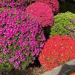 Tokyo Historian and Photographer Private Tour - Why This Tour Offers Genuine Value