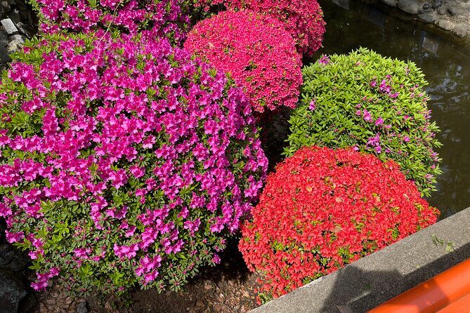 Tokyo Historian and Photographer Private Tour - Why This Tour Offers Genuine Value