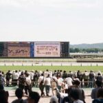 Tokyo: Horse Racing Experience with Local Fan - How the Itinerary Breaks Down