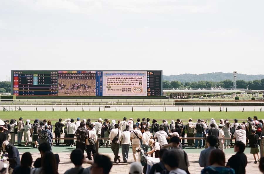 Tokyo: Horse Racing Experience with Local Fan - How the Itinerary Breaks Down