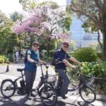 Tokyo Imperial Palace 2h Private E-bike at your pace. - Who Will Love This Tour?