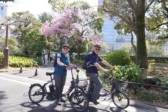 Tokyo Imperial Palace 2h Private E-bike at your pace. - Who Will Love This Tour?