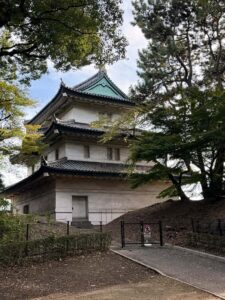 Tokyo: Imperial Palace and Ishibashi bridge walking tour - A Deep Dive Into the Tour Experience