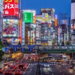 Tokyo in a Day: Meiji Shrine, Shibuya, and Shinjuku - Who Will Benefit Most?