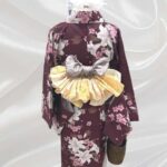 Tokyo: Iroha Kimono Story with Komon - Why This Tour Works Well for Travelers