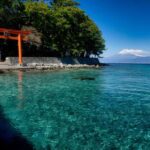 Tokyo: Izu Peninsula Fun Diving and Sightseeing Tour - Guided Sightseeing of Izu’s Scenic Spots