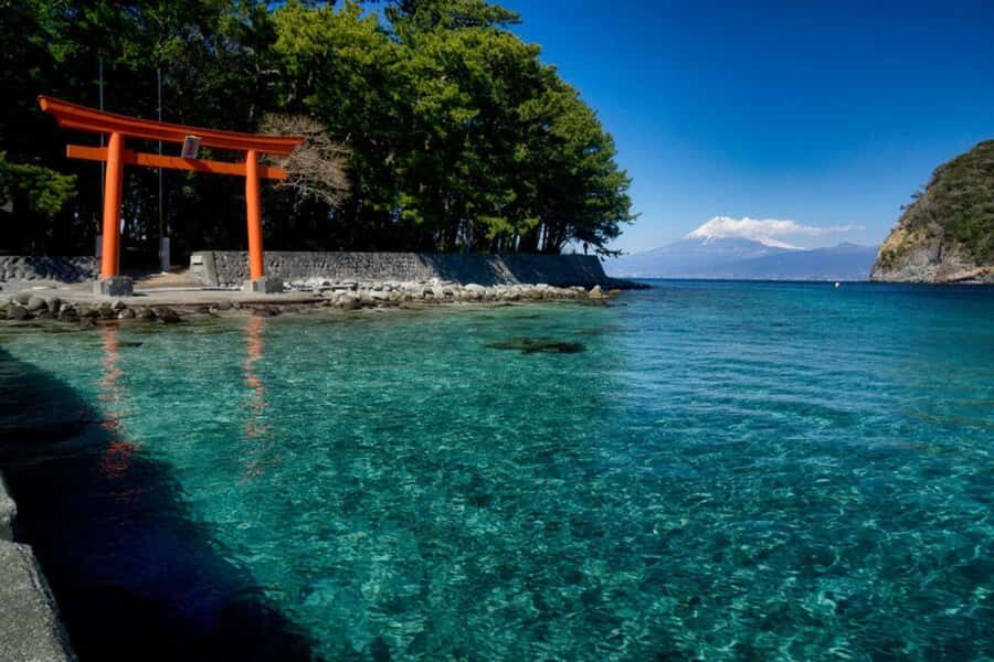 Tokyo: Izu Peninsula Fun Diving and Sightseeing Tour - Guided Sightseeing of Izu’s Scenic Spots