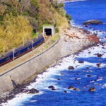 Tokyo: Izu Scenic Oceanview Train, Volcano, Coast Day Trip - Transportation & Comfort