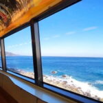 Tokyo: Izu Scenic Oceanview Train, Volcano, Coast Day Trip - Practical Tips for a Smooth Trip