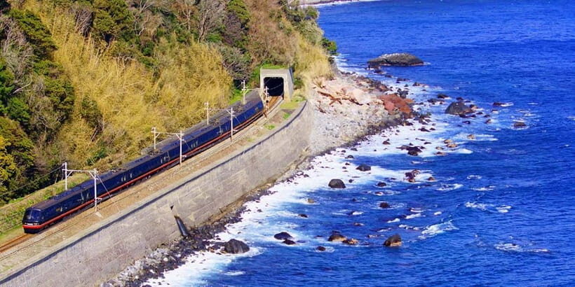 Tokyo: Izu Scenic Oceanview Train, Volcano, Coast Day Trip - Transportation & Comfort