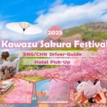 Tokyo: Izu Scenic Train, Kawazu Cherry Blossom & HotelPickup - What to Expect: Day-by-Day Breakdown