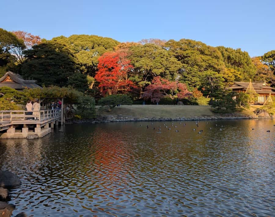 Tokyo: Japanese Garden Tour, Panoramic Train, and Odaiba Bay - An In-Depth Look at the Tour