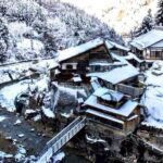 Tokyo: Jigokudani Snow Monkey Park Private Customized Tour - The Journey Through Nagano’s Cultural and Natural Gems