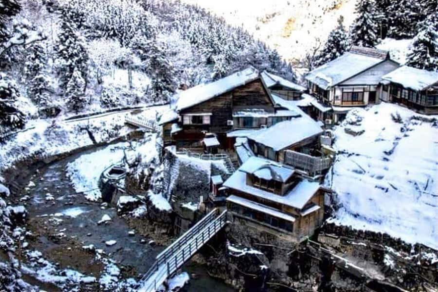 Tokyo: Jigokudani Snow Monkey Park Private Customized Tour - The Journey Through Nagano’s Cultural and Natural Gems