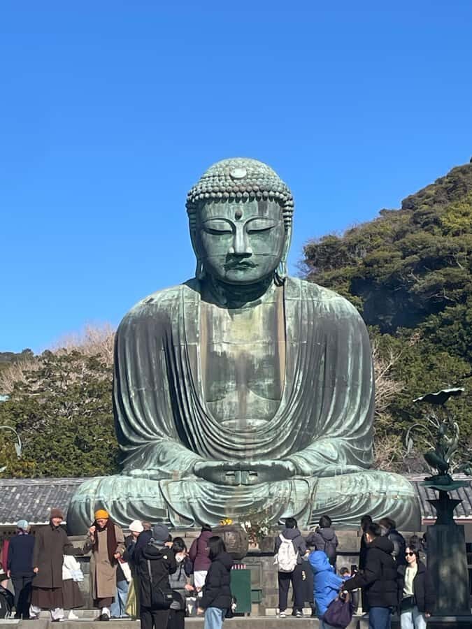 Tokyo: Kamakura Day Trip with Great Buddha & Temples - The Practicalities