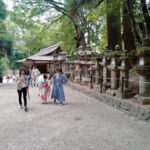 Tokyo-Kamakura-Hakone-Mt.Fuji-Nara-Kyoto-Osaka: 3-Day Tour - Authentic Experiences and Practical Details