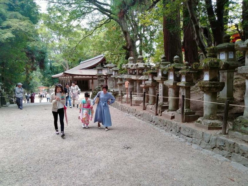 Tokyo-Kamakura-Hakone-Mt.Fuji-Nara-Kyoto-Osaka: 3-Day Tour - Authentic Experiences and Practical Details