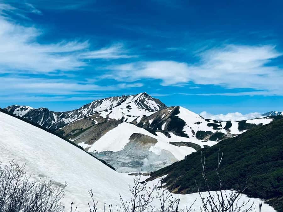 Tokyo: Kamikochi & Tateyama Kurobe Snow Wall 2-Day Tour - What Travelers Love About This Tour