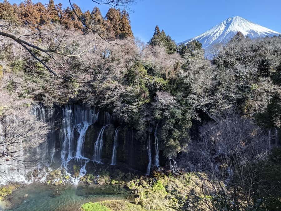 Tokyo: Karuizawa Scenic Highlights & Outlet Shopping Tour - What You Can Expect from This Tour