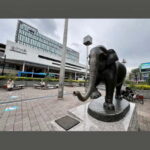 Tokyo: Kichijoji Food and Anime Walking Tour with Lunch - Why This Tour Offers Great Value