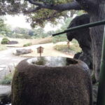 Tokyo: Kiyosumi, Hama-Rikyu, and Kyu-Yasuda Garden Tour - What You Can Expect from the Experience