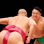 Tokyo Live Sumo Show & Kaiseki Dinner HIRAKUZA GINZA TOKYO - Who Should Consider This Experience?