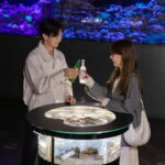 Tokyo: Maxell Aqua Park Shinagawa Direct Entry Ticket - Authentic Insights from Reviews