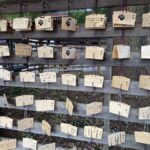 Tokyo: Meiji Jingu Historical Walk and Food Tasting Tour - Exploring the Heart of Tokyo: Meiji Jingu Shrine