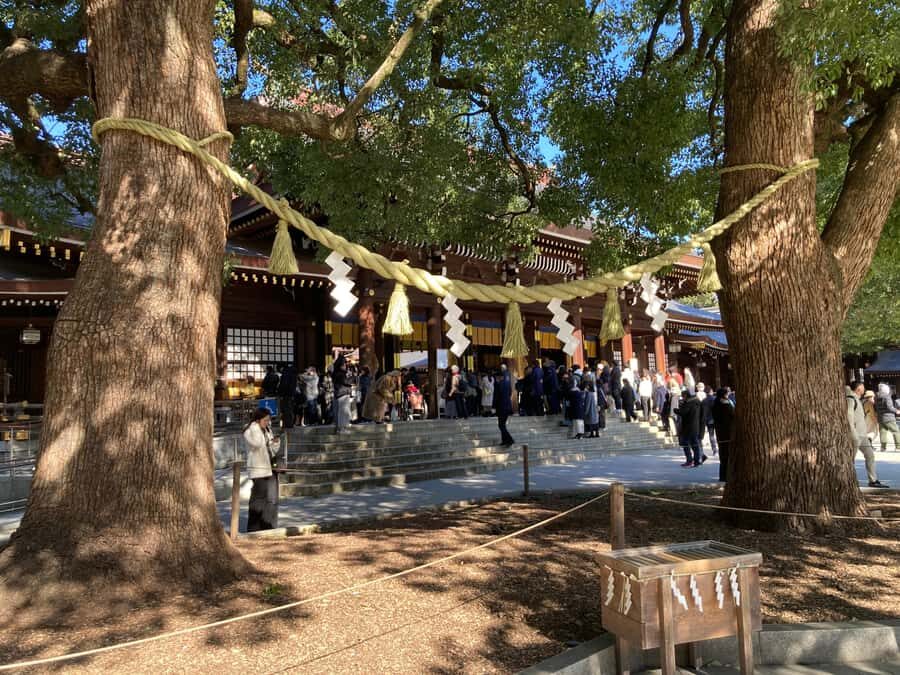 Tokyo: Meiji Jingu Historical Walk and Food Tasting Tour - Why This Tour Works